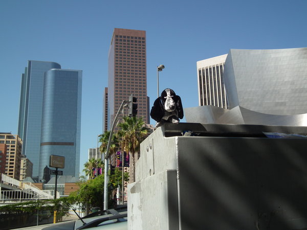 P-Doggy enjoying Downtown LA