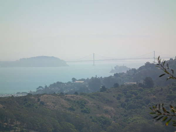 View on the way to Muir Woods