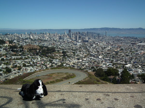 Overlooking SF