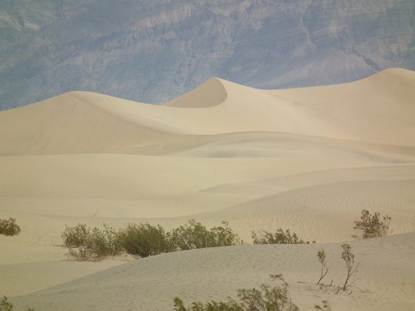 Sand dunes in Death Vally