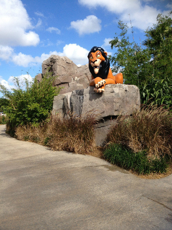 The Lion King Resort