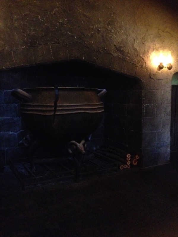 The Leaky Cauldron