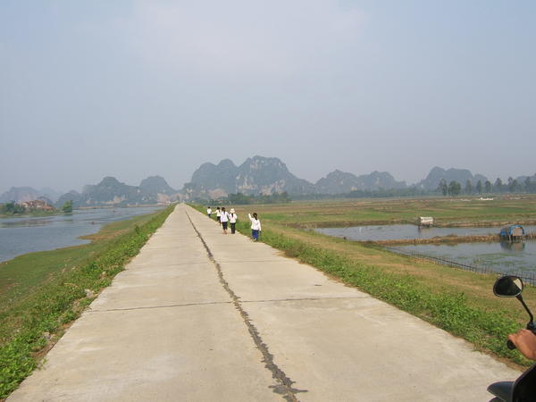 dike along Ninh binh
