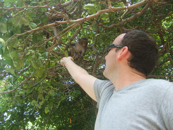 on our second anniversary together, Mickey gets to feed macaque monkeys