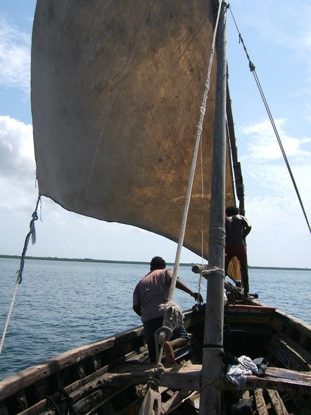 Our dhow day trip