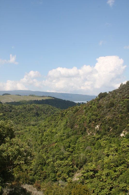 View from buried village towards Lake Tarawera