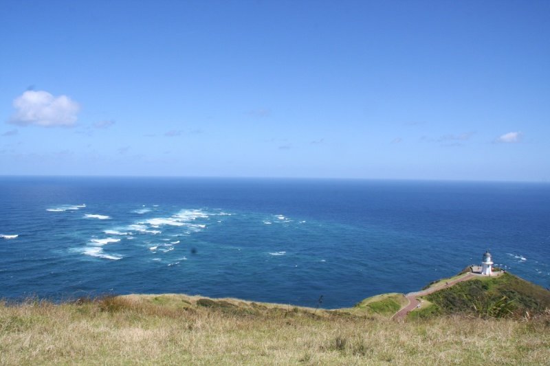 Netting of Tasman sea and Pacific Ocean 