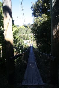 Swing bridge Upper Hutt