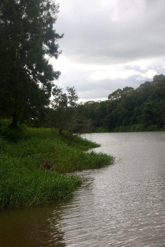 River at Kuranda