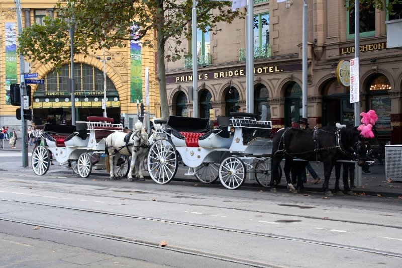 Horse drawn carriages