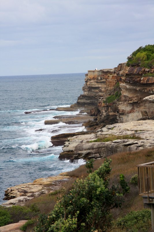 Cliff walk to Coogee