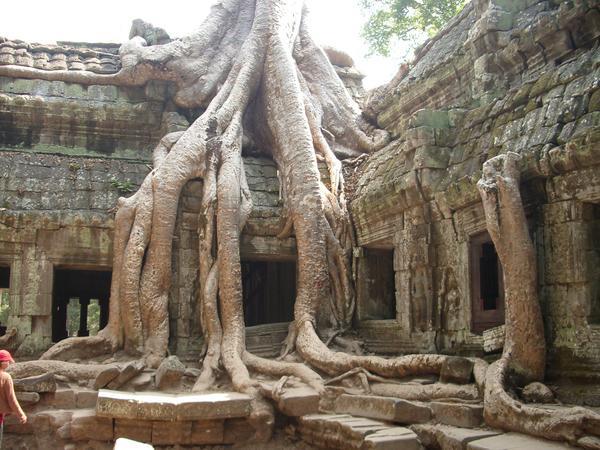 Temples of Angkor 