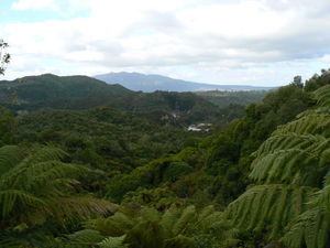 Panoramic view over Waimangu Volcanic Valley
