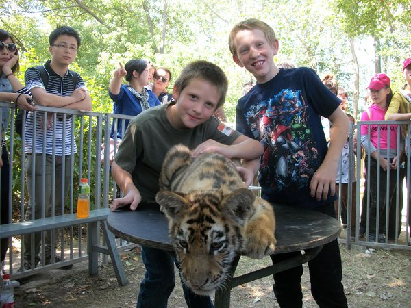 The boys and the tiger cub