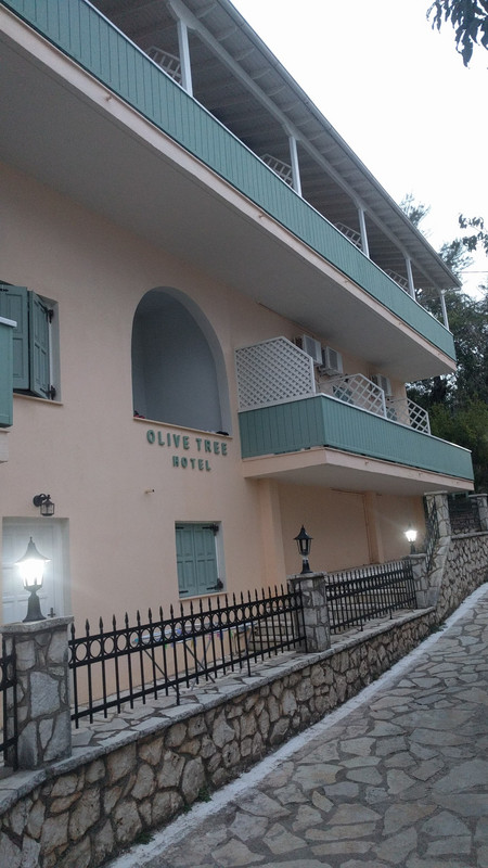 olive tree hotel