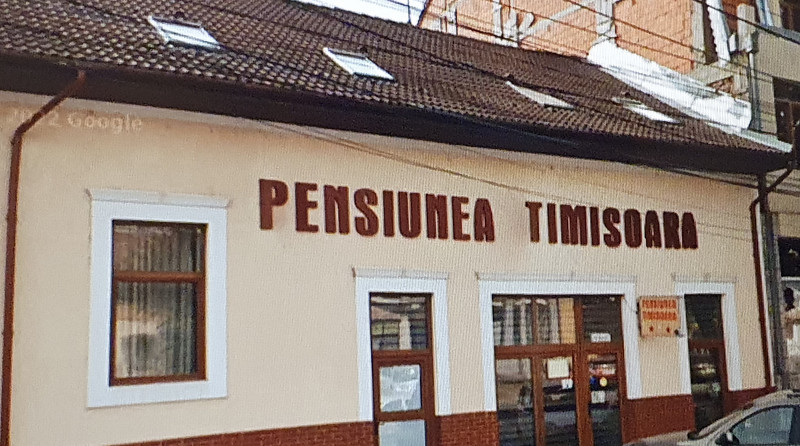 Penisunea Timisoara