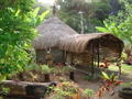 Traditional Hienghiene hut