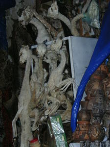 Llama foetuses - Witches Market in La Paz
