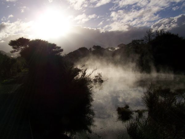 Steaming Lake Rotorua