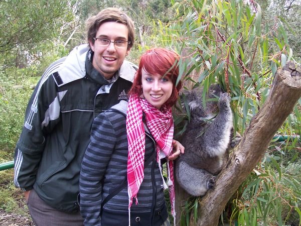 Cuddling the Koalas in Adelaide zoo