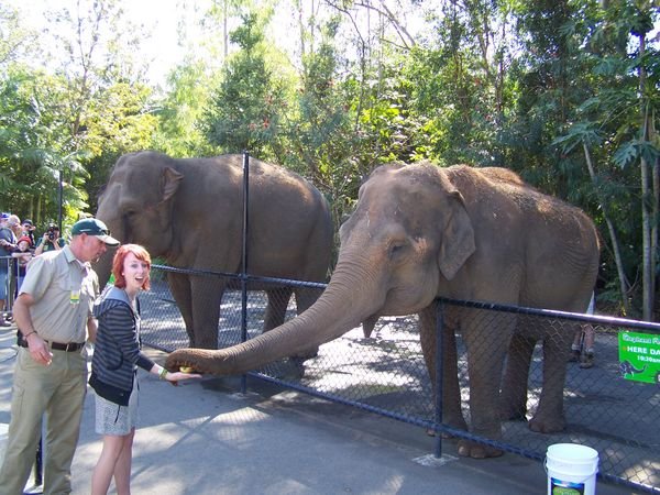 Getting interactive is the message at Australia Zoo
