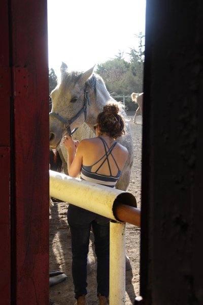Tamar und großes Pferd