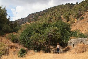 Kurze Wanderung auf dem Ha Palmach Trail mit Tamar