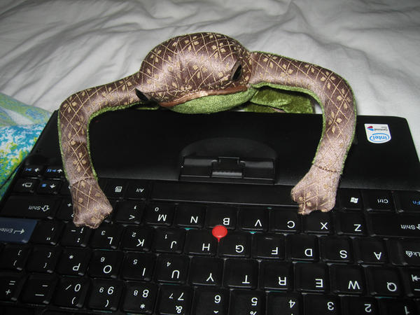 Frog Bloggin'