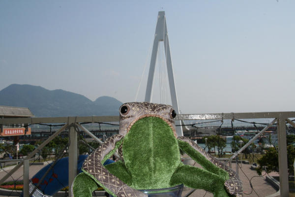 Frog at the Wharf