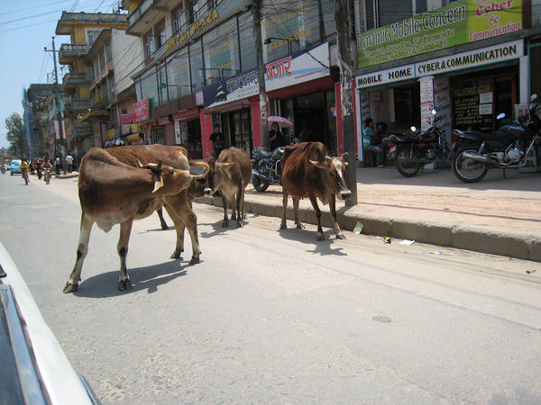 Kathmandu Traffic Jam