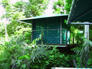 Our rainforest hut
