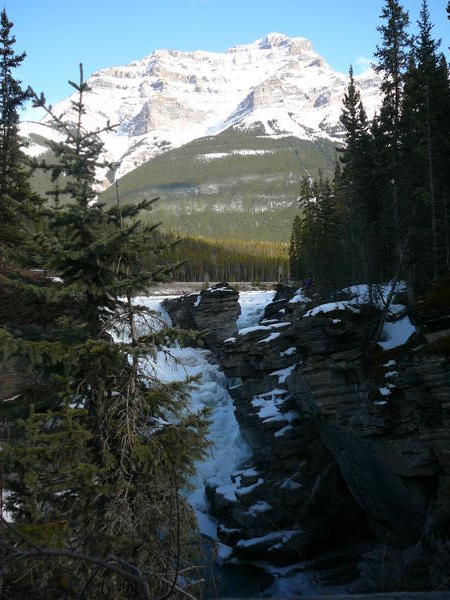 The Athabasca Falls