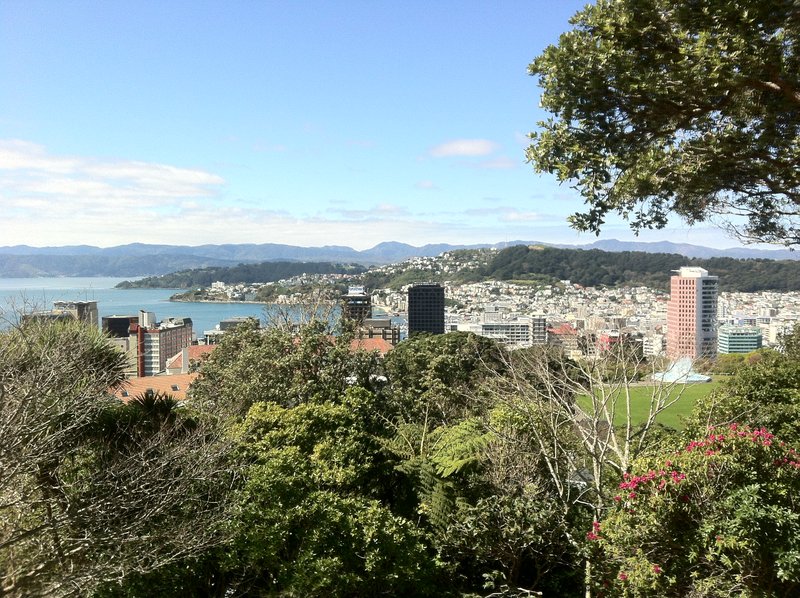 View of Wellington from the Botanic Gardens