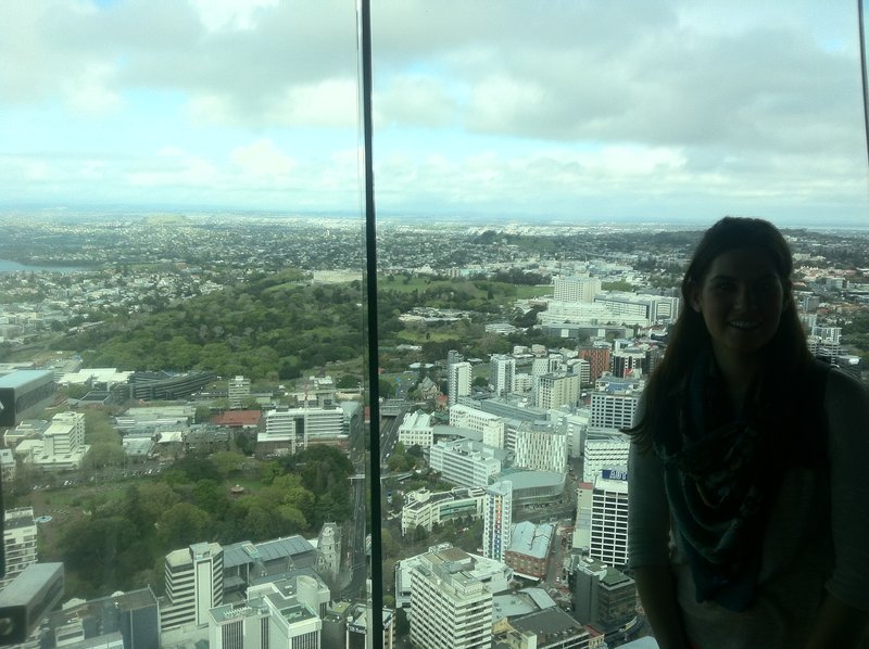 Part of the stunning view from the Sky Tower