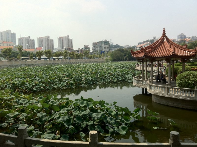 The pond at the bottom of Nan Putuo Si temple