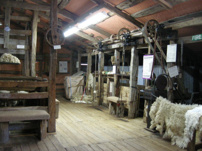 Inside the shearing shed