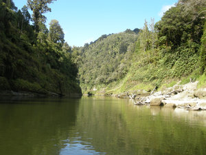 The Wanganui River