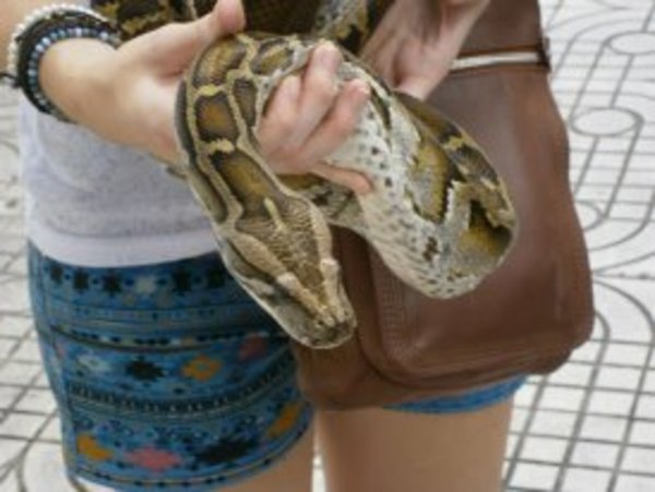 we held a snake!!!