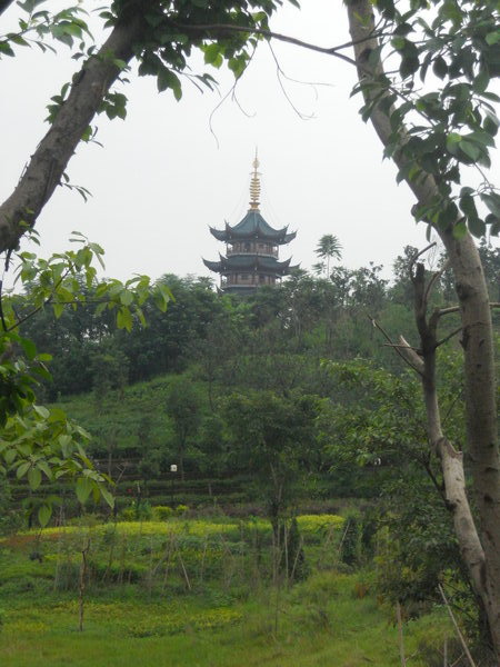 Pagoda Through the Park