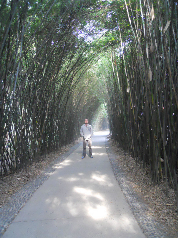 In the bamboo tunnel