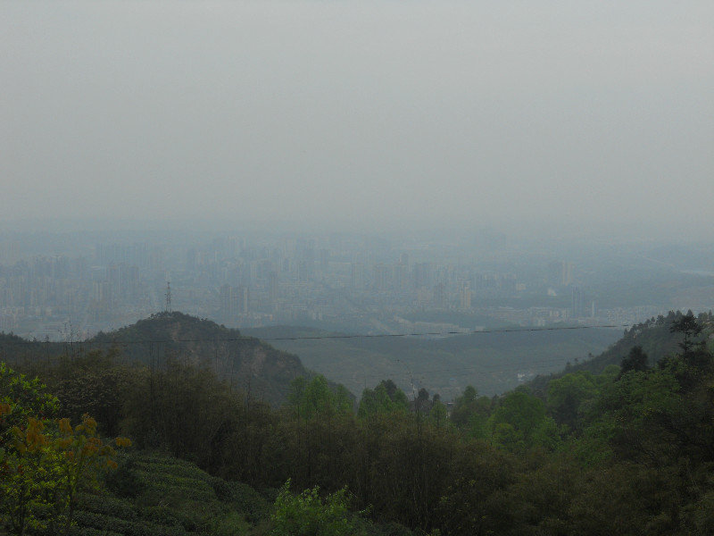View through the haze