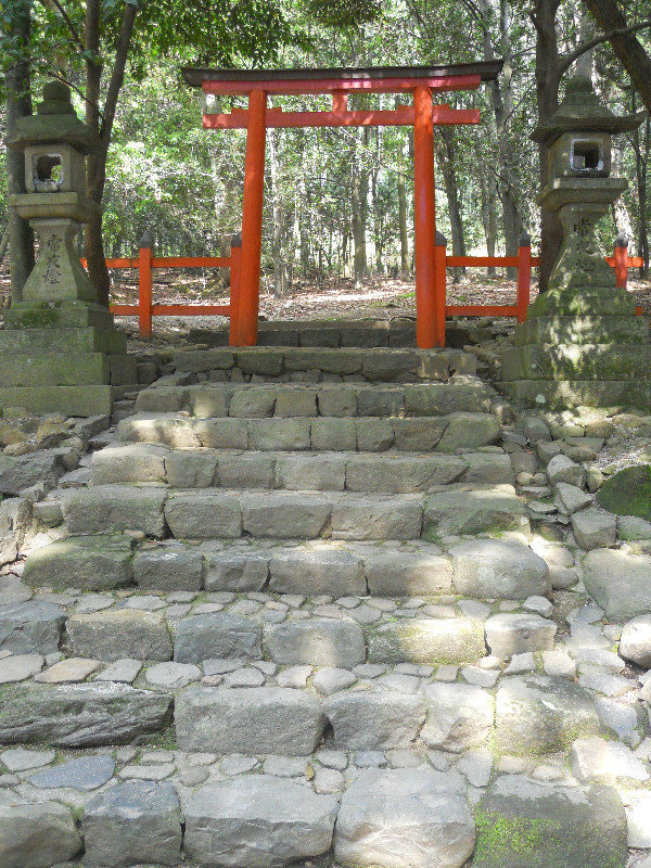 Path to a torii gate