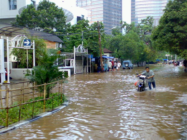 The Floods