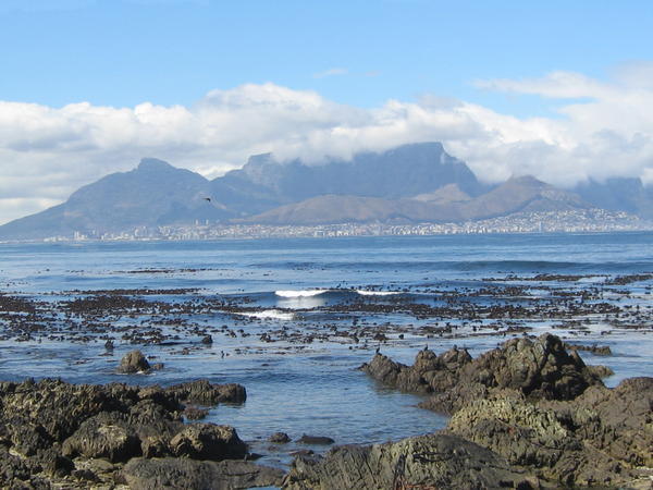 Table Mountain & the Veil