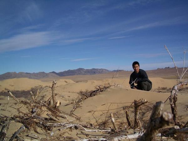 Sand dunes at Mongol Els