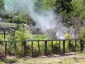 The Hissing Geysers of Rotorua