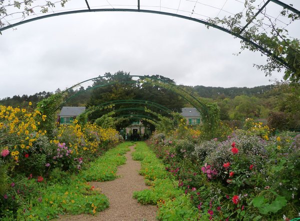 Monet's garden