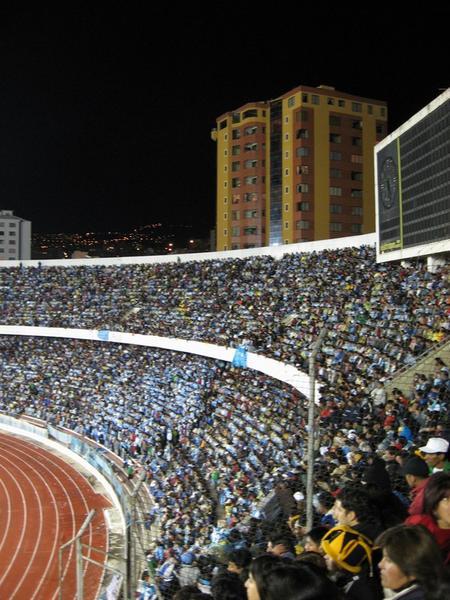 A View of the Bolivar Fans