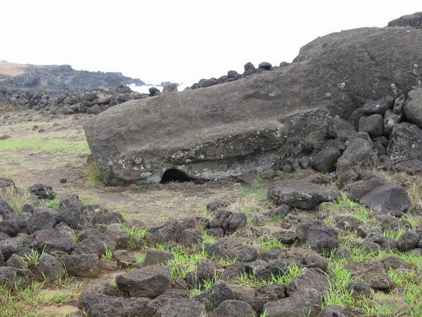 Largest Moai on the island