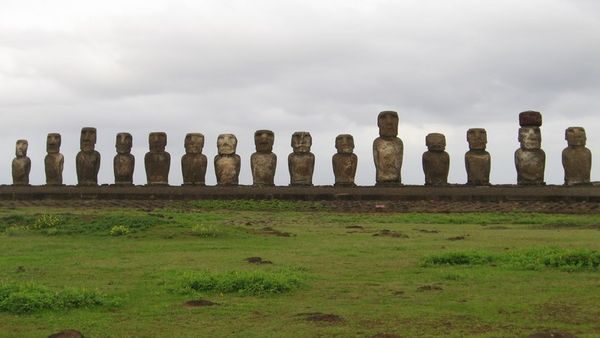 The largest number of moai in one place